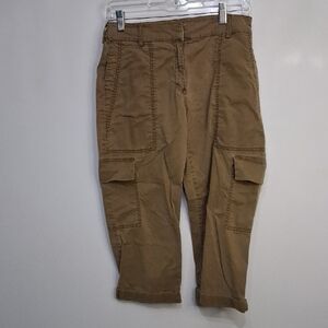 Eileen Fisher Womens  Brown Cargo Pants